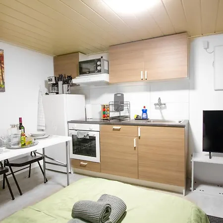 Stilvolles 1,5-zimmer-apartment In Mit Eigenem Parkplatz 公寓 内卡苏尔姆